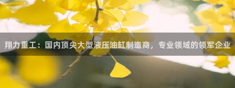 必威棋牌官网33.4最新版游大厅现在还能玩吗.中国猫眼